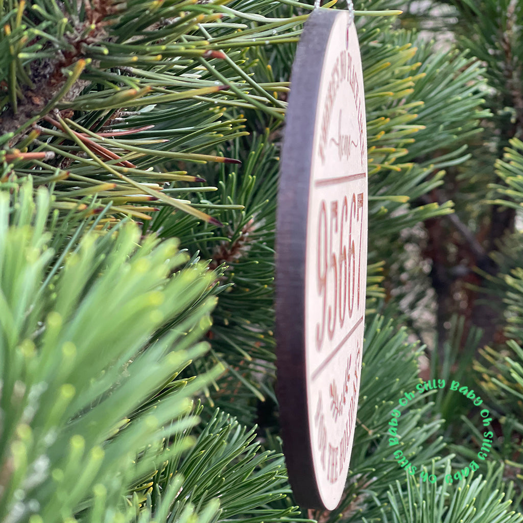 There's No Place Like Home For The Holidays Ornament
